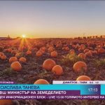 Право на отговор: Десислава Танева за тиквите и тиквениците; Автор: еМисия България; Видео: BiT, 13.11.2017 г.
