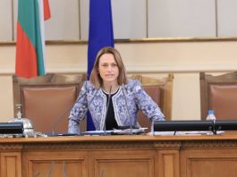 Ива Митева, ПП Има такъв народ; Снимка: Интернет